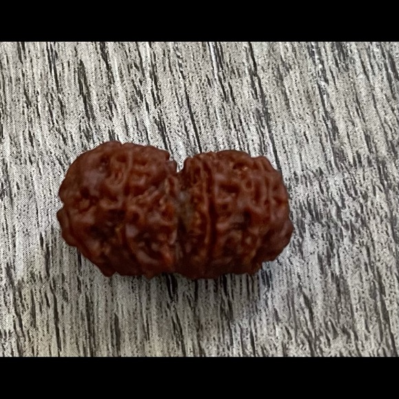 Certifired Gaurishankar Rudraksha Bead - Picture 3 of 3